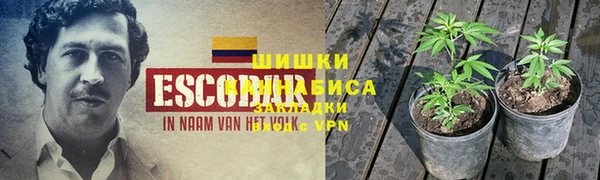 гидропоника Богородицк