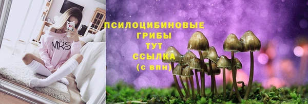гидропоника Богородицк