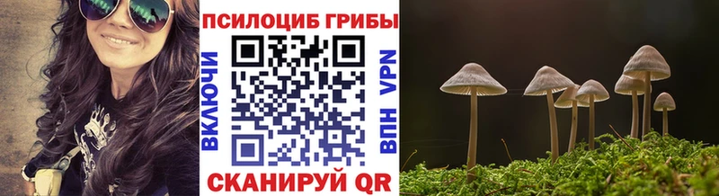 Псилоцибиновые грибы Psilocybine cubensis  Купить  Всеволожск 